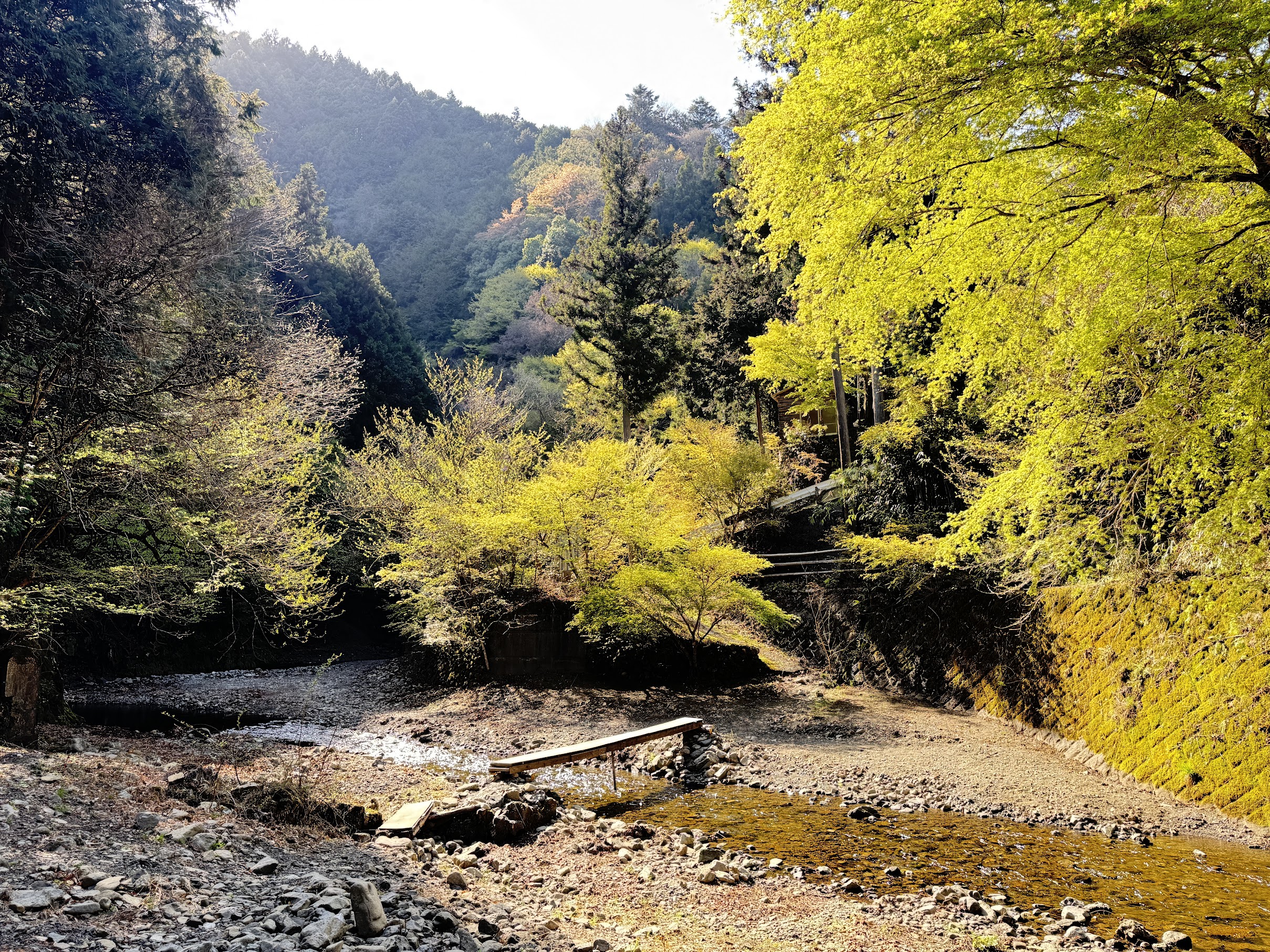 北秋川自然休暇村の川の様子