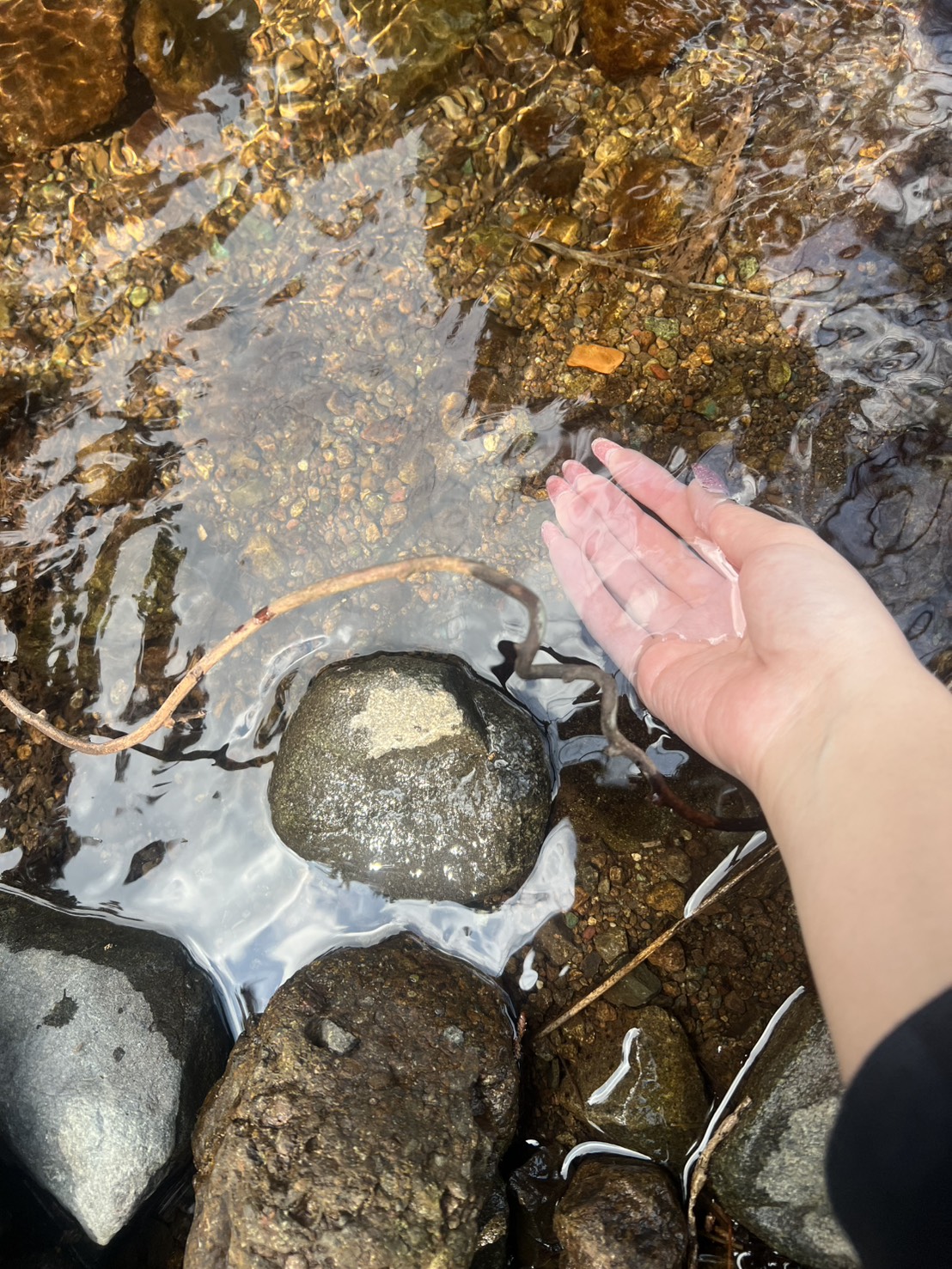 川サウナFIELD 伊勢原の薪