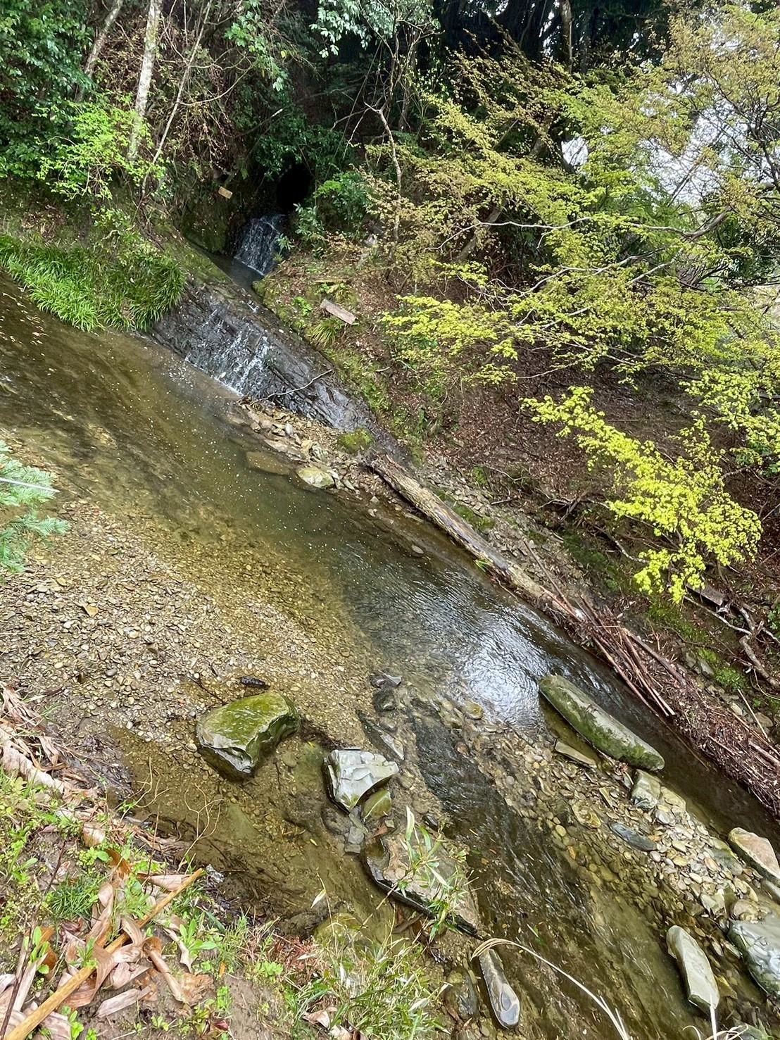 川サウナFIELD 大多喜平沢の平沢川と滝