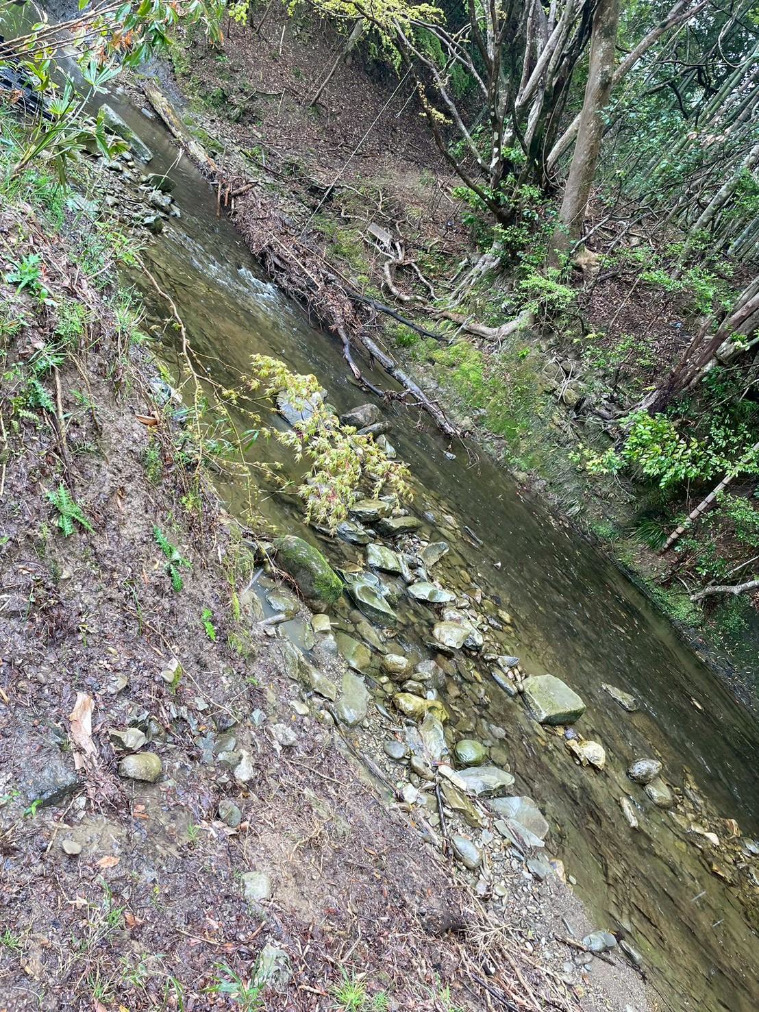 川サウナFIELD 大多喜平沢の平沢川清流