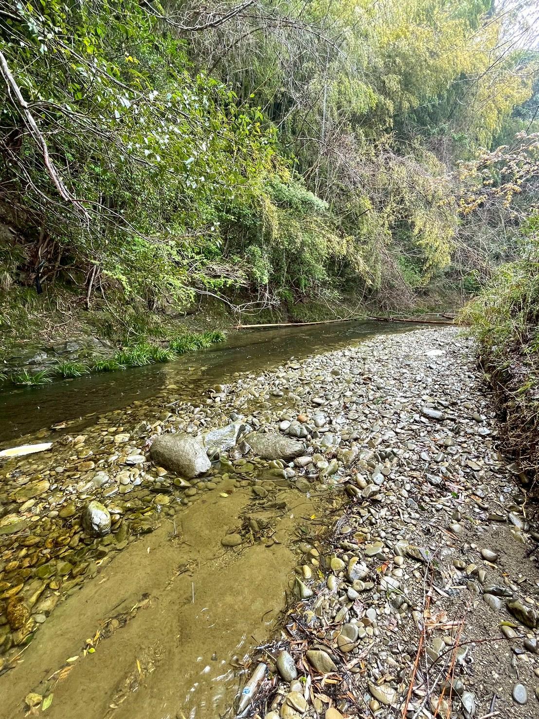 川サウナFIELD 大多喜平沢の平沢川と河原