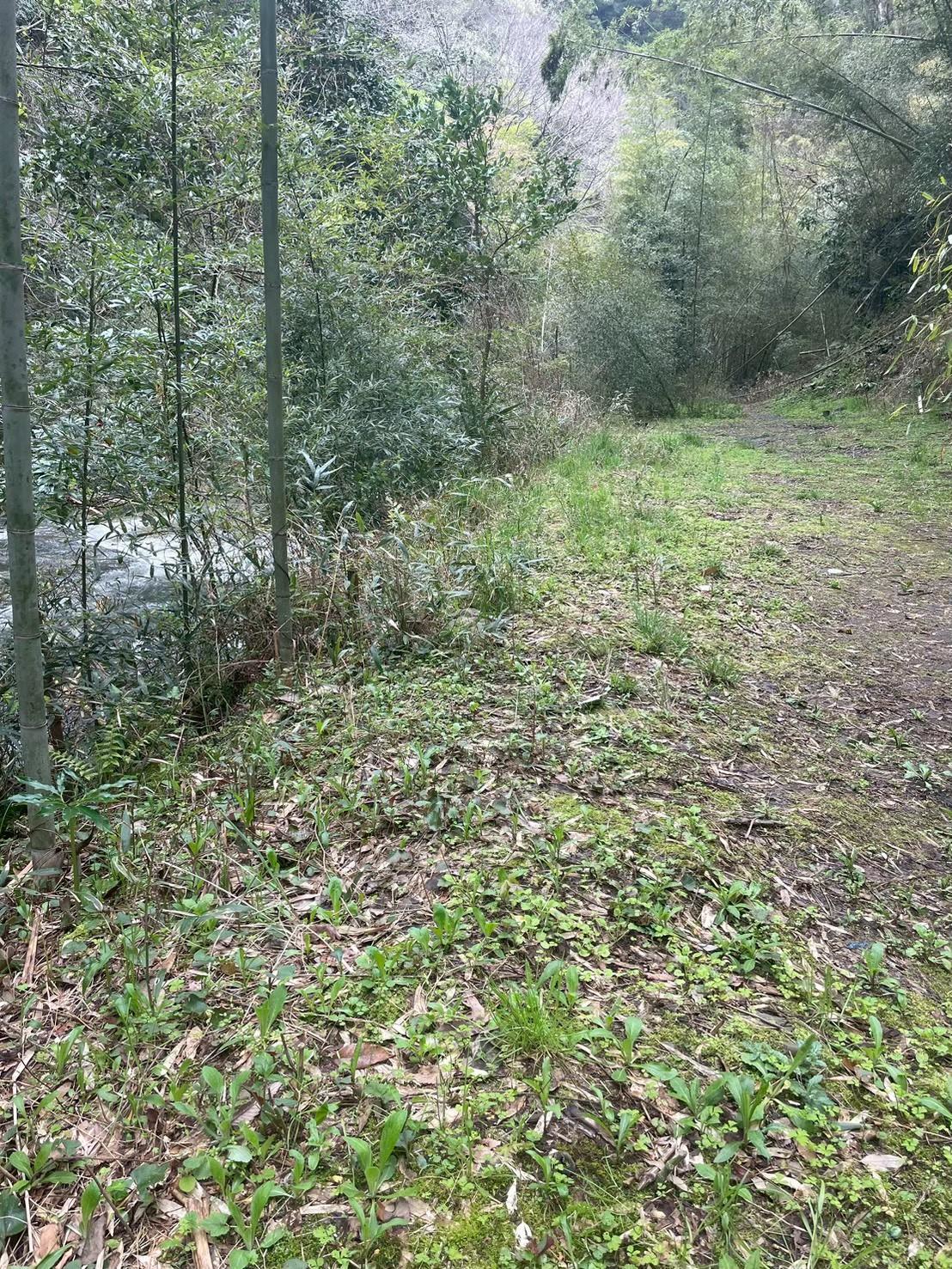川サウナFIELD 大多喜田代の西畑川河原