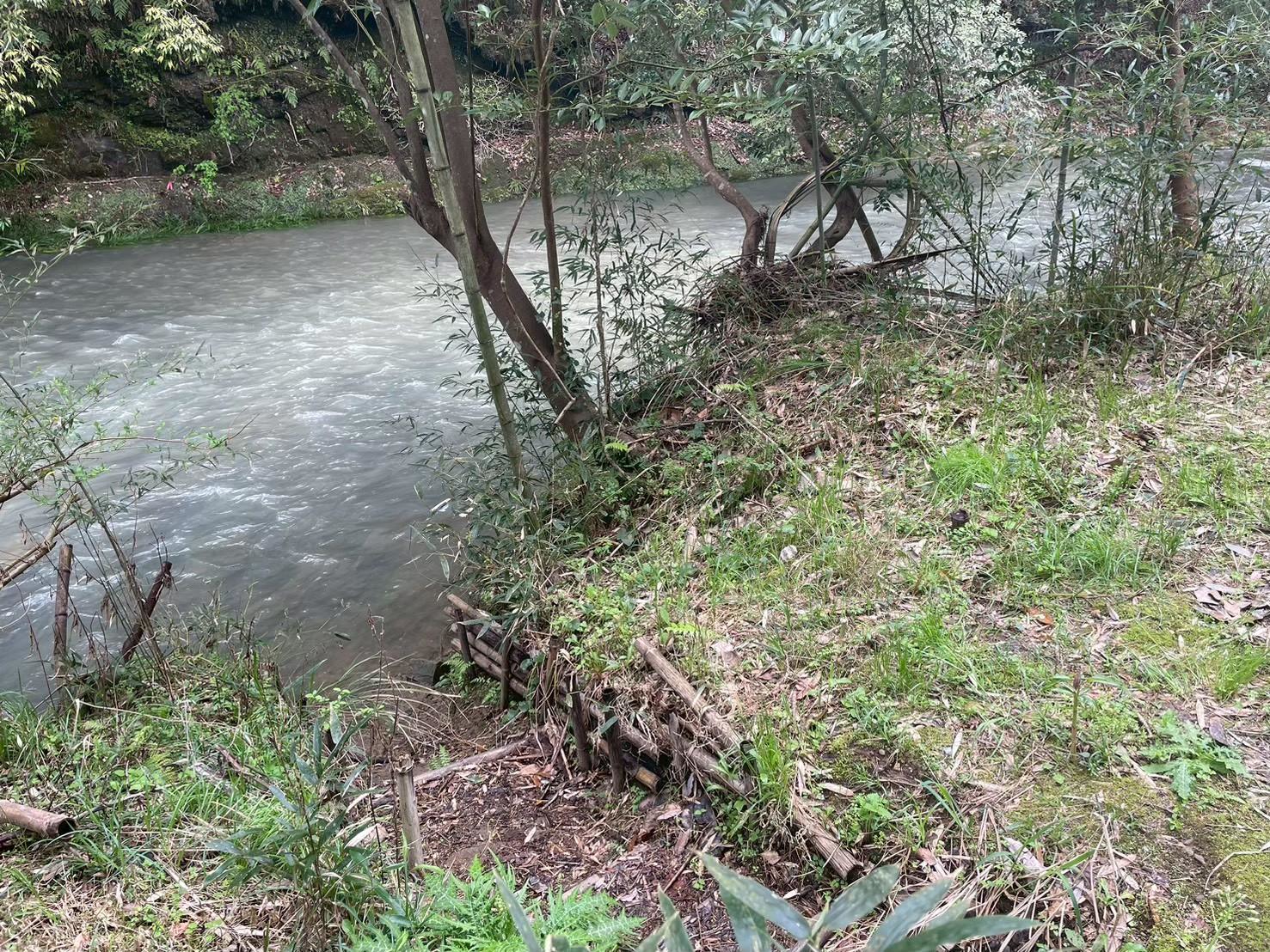 川サウナFIELD 大多喜田代の西畑川と森