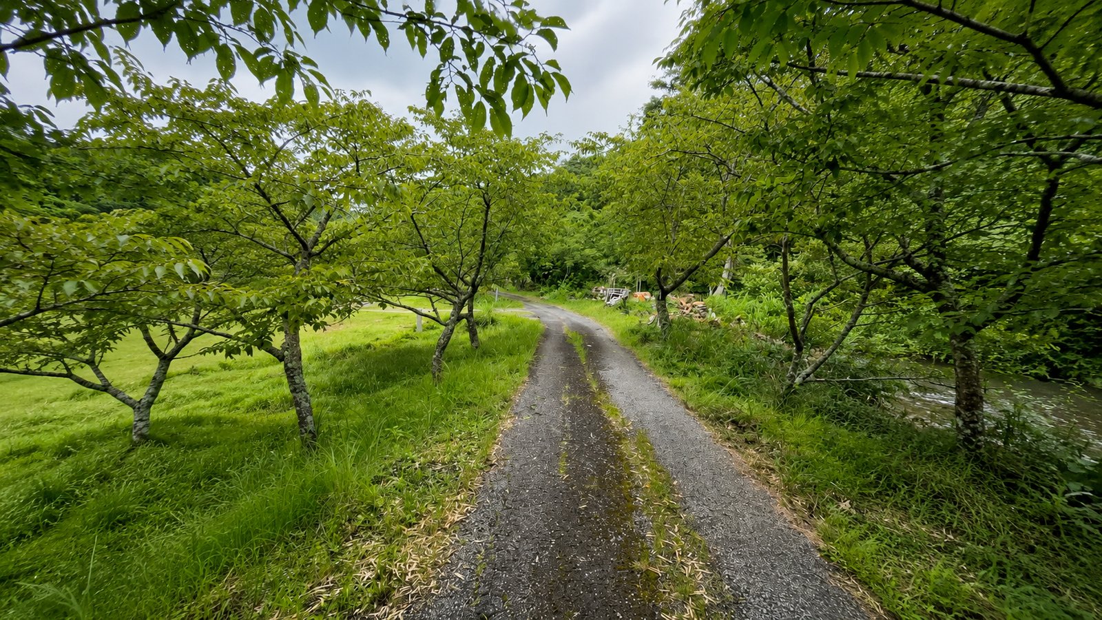 【関東】千葉県大多喜町の川サウナFIELD 大多喜の施設広場と小屋｜アウトドアサウナのイメージ画像