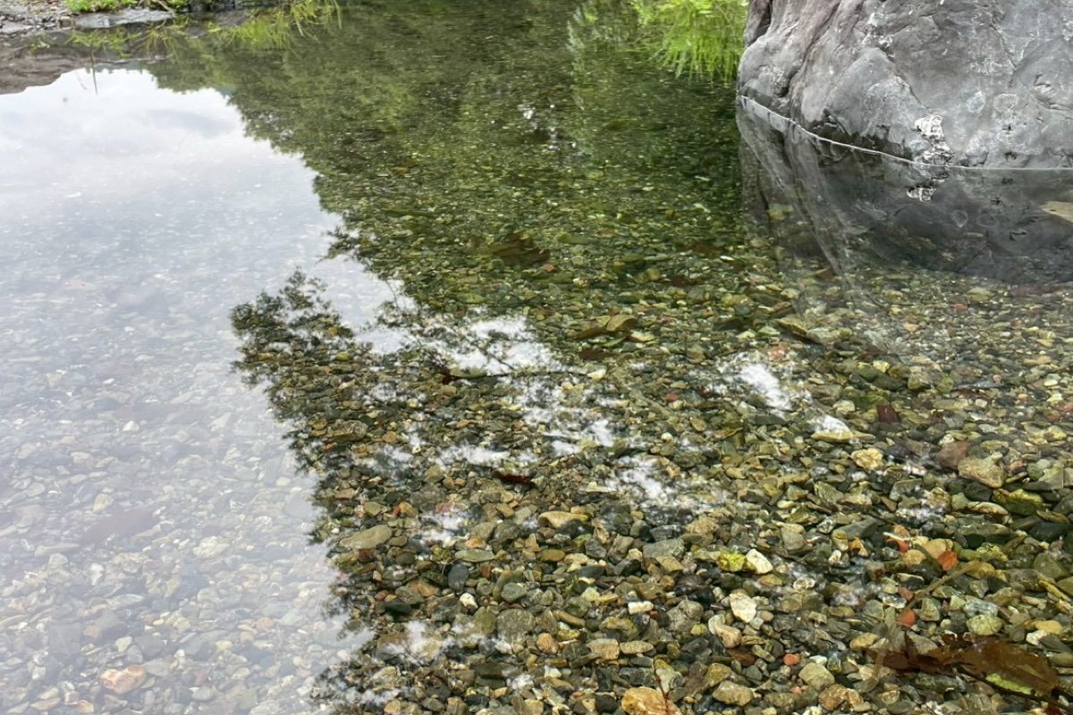 【関東】埼玉県・飯能市・川サウナFIELD 飯能・西澤氏撮影|大自然で川サウナ・テントサウナのギャラリー画像2