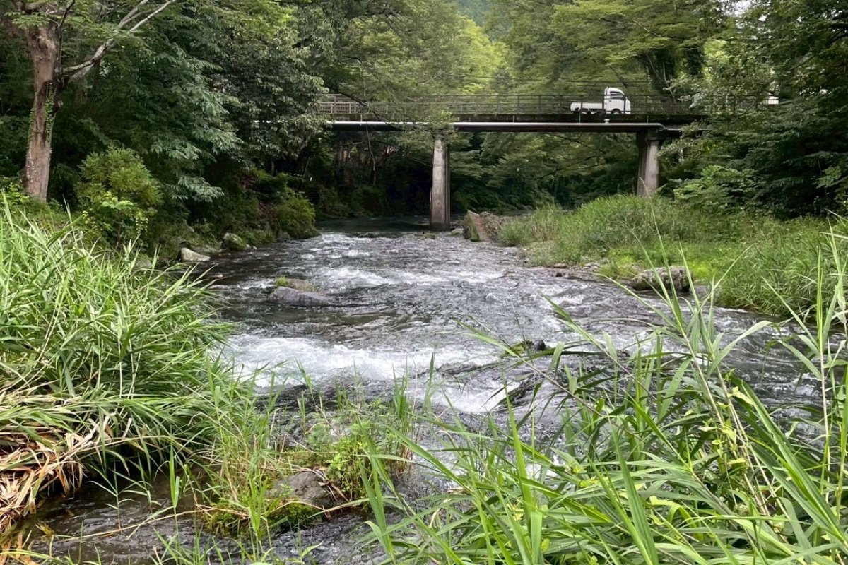 【関東】埼玉県・飯能市・川サウナFIELD 飯能・西澤氏撮影|大自然で川サウナ・テントサウナのギャラリー画像8