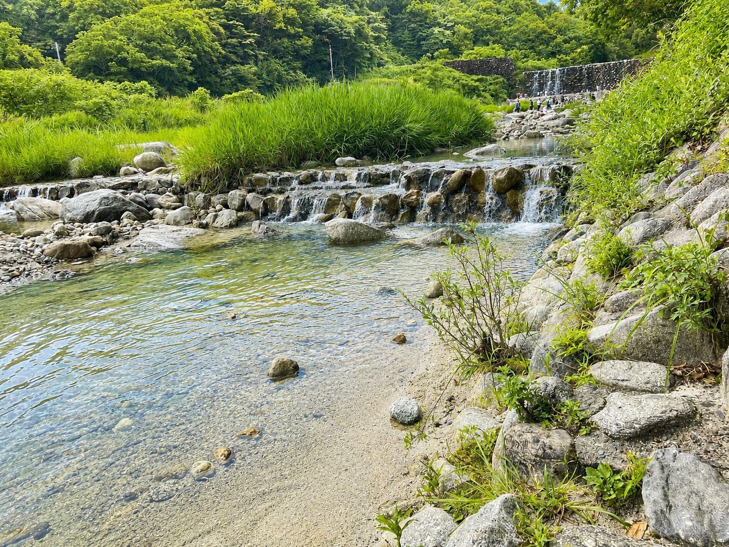 尾白川の清流 1日貸切の川サウナ｜川辺で外気浴できるインフィニティチェアと清流